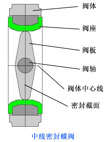 中線蝶閥