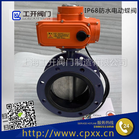 IP68防水型電動(dòng)蝶閥-水下工作電動(dòng)蝶閥-QSD941XP潛水型電動(dòng)蝶閥