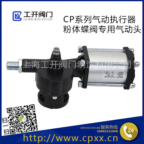 CP系列氣動執(zhí)行器-氣動粉塵/粉體蝶閥專用氣動頭-CP系列氣缸-CP063/C